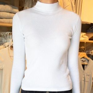 Brandy long sleeve turtle neck
